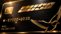 WISD Golden Card