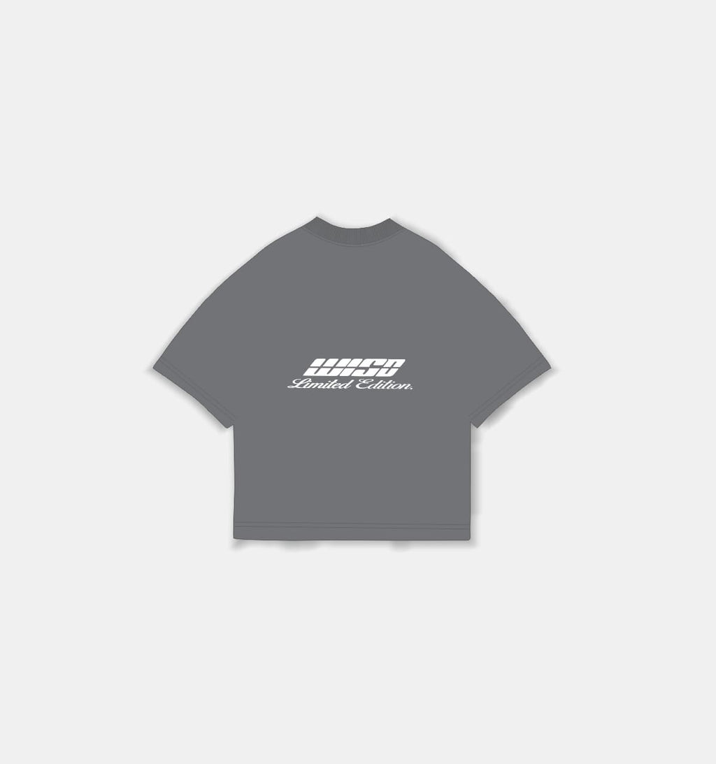 Basics T-Shirt  Gamuza Gris