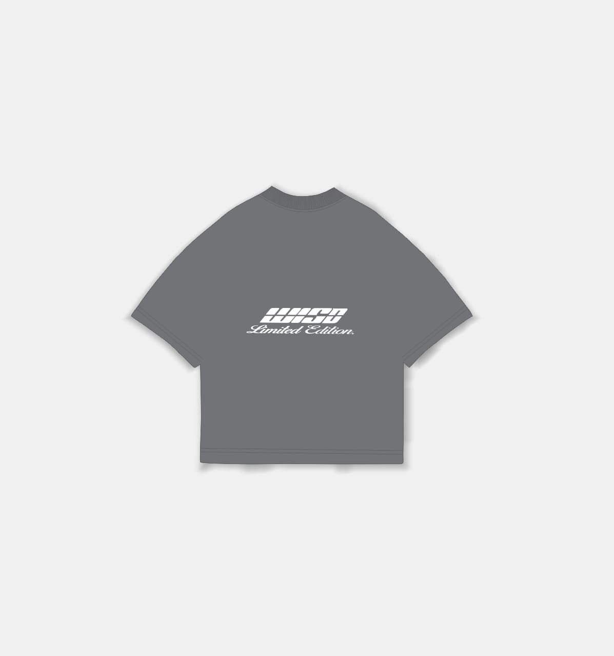 Basics T-Shirt  Gamuza Gris